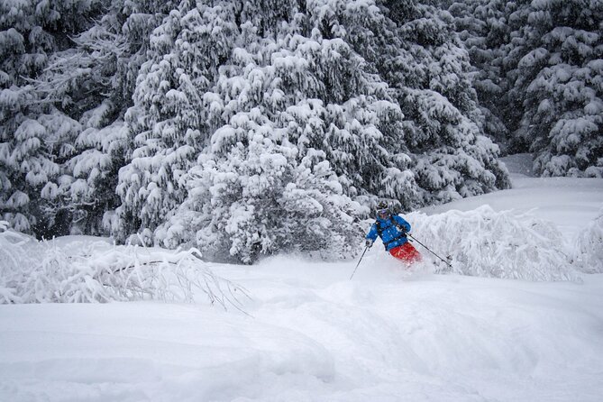 1-day Backcountry Tour - Why Almaty works so well for a backcountry day