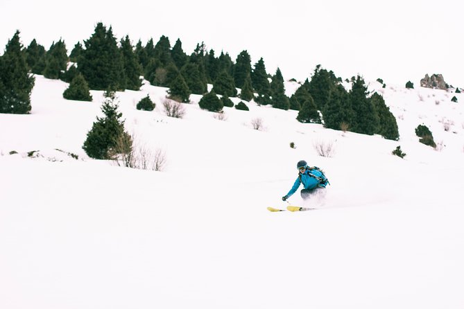 1-day Backcountry Tour - Weather, visibility, and mountain judgment