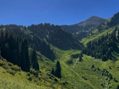 Advanced Hiking – Four Peaks Hike