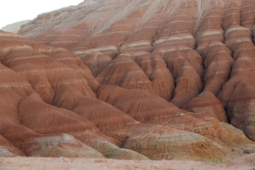 Almaty: Altyn Emel National Park Two-Day Trip - The guide and the value of having local help