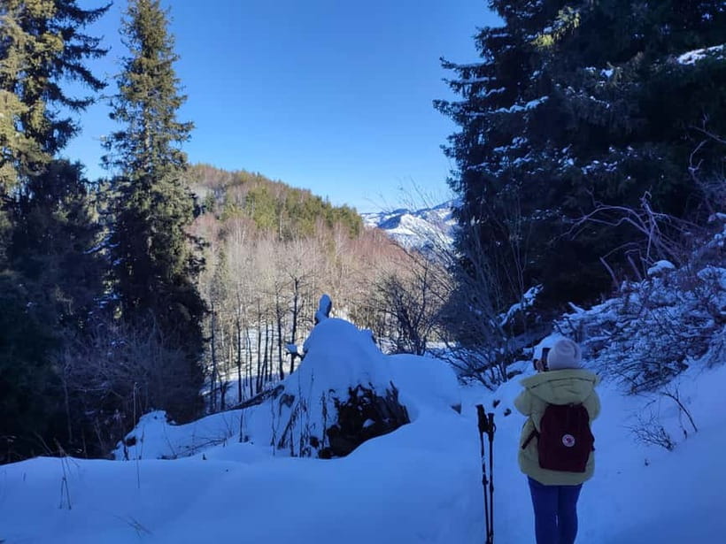 Almaty: Hiking to the High Mountain Pasture Kok Zhailau - Who should book this Almaty hike