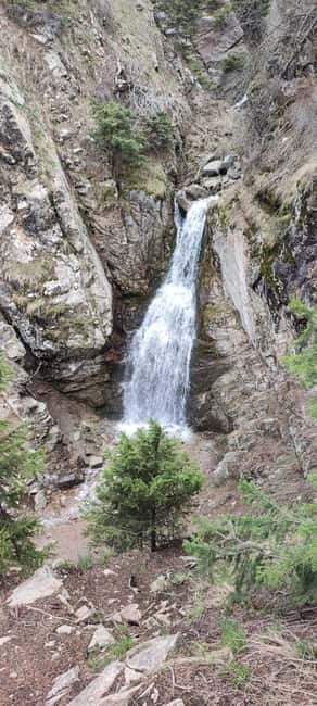 Almaty: Hiking to the High Mountain Pasture Kok Zhailau - Simple ways to make the day better