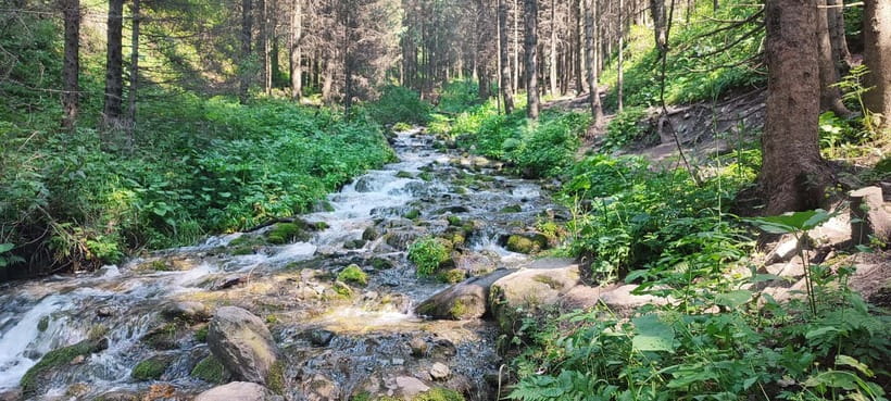 Almaty in a Day: Mountains and City Highlights - Ayusai Waterfall, the mountain highlight