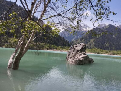 Issyk Lake and Turgen Gorge Waterfall Day Tour