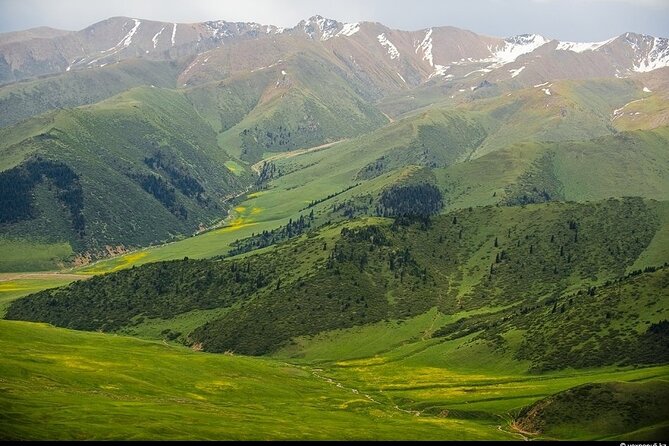 Almaty Issyk Lake, Turgen Waterfall and Turgen Gorge Tour - What the positive feedback tells you about service