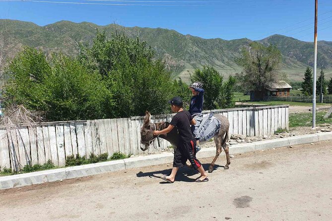 Almaty Region 3 Days Tour from Almaty - The big picture: a fast route through three climate zones