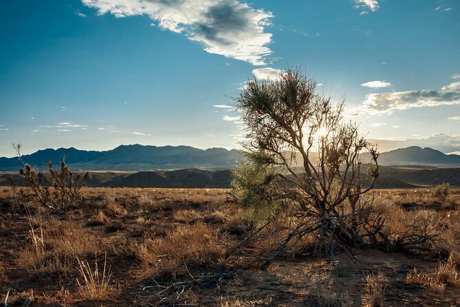 Almaty to Altyn-Emel National Park Private Tour - Wildlife is a bonus, not the main event