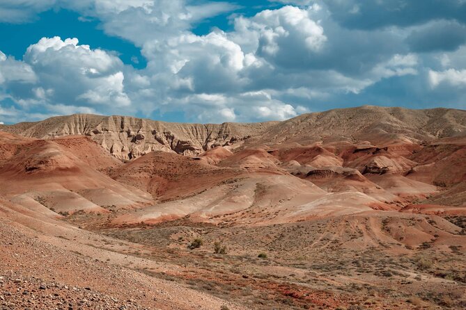 Almaty to Altyn-Emel National Park Private Tour - What the private format changes