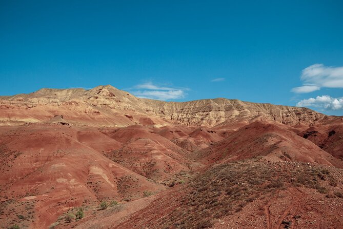 Almaty to Altyn-Emel National Park Private Tour - Is $450 a fair price?