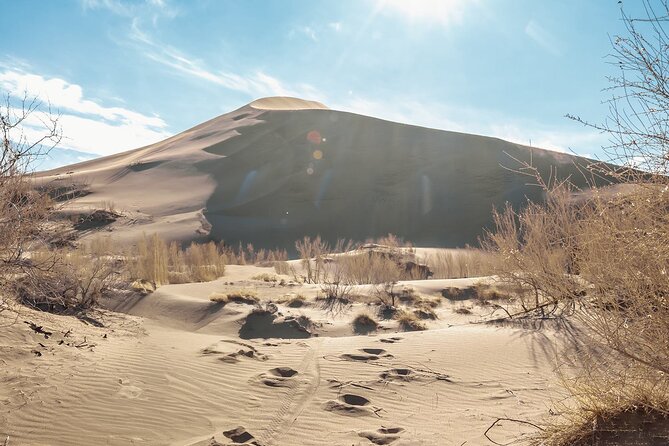 Almaty to Altyn-Emel National Park Private Tour - The Singing Dune and its low desert hum