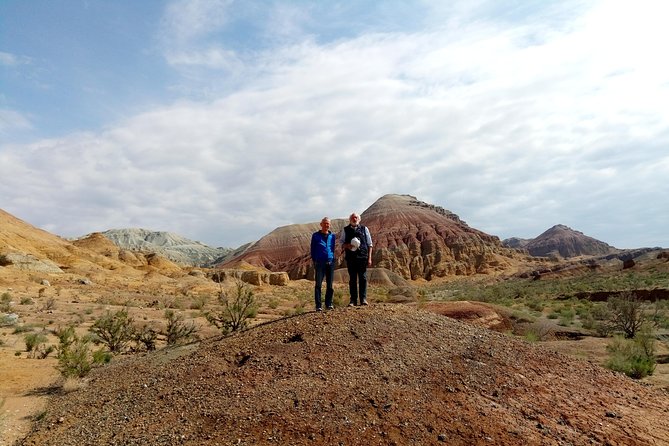 Altyn Emel National Park, Private tour, 2 days from Almaty - Tamgaly Tas and its Buddhist drawings