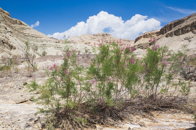 Altyn Emel. Singing dune and Aktau mountains 2 days tour - Why this Altyn Emel trip is different