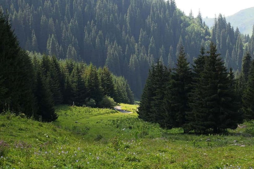 "Butakovka Waterfall" - a half day tour - Key points to know before you go