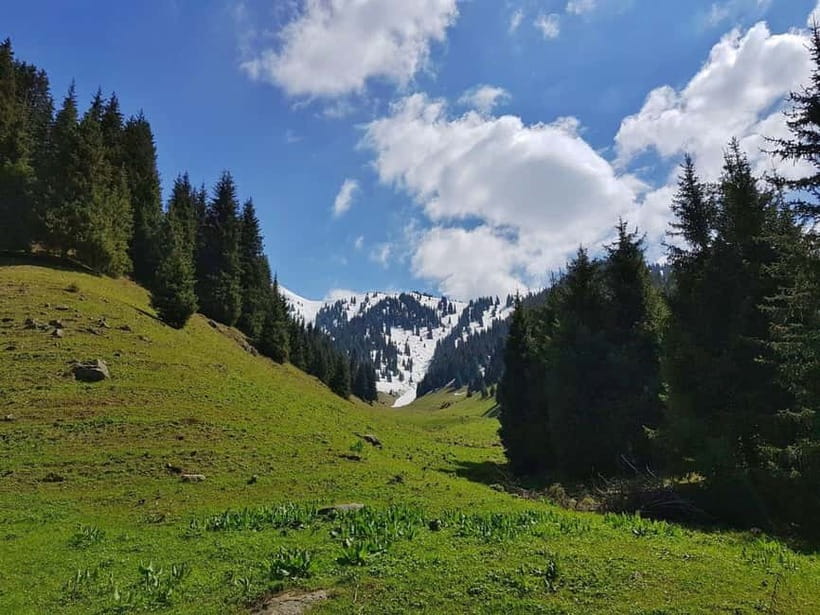 "Butakovka Waterfall" - a half day tour - The waterfall, forest, and photo stops