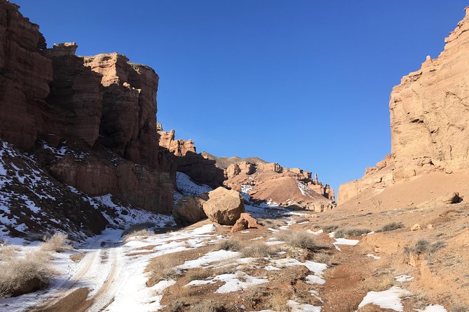 Charyn Canyon Private tour from Almaty, 1 day - Who should book this Charyn Canyon tour?