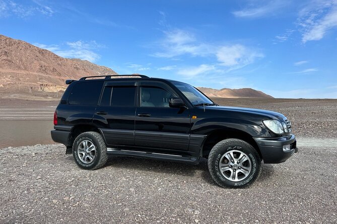 Charyn Canyon Valley of Castles 1 Day tour - Why Charyn Canyon makes a worthwhile day trip