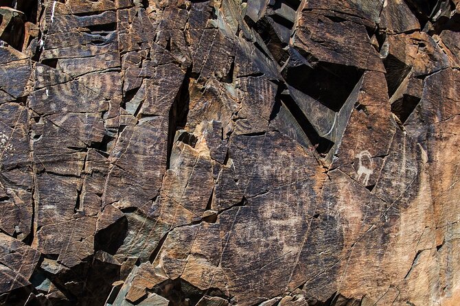Day Trip to Tanbaly Petroglyphs - The guide and translation question