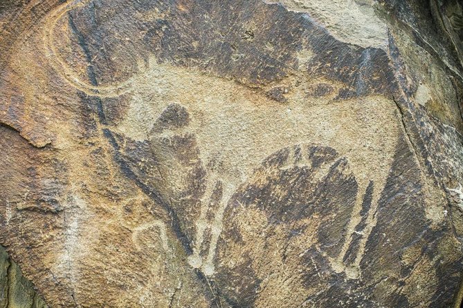 Day Trip to Tanbaly Petroglyphs - Walking through six groups of ancient carvings