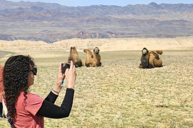 Discovering 6 Stunning Sights on Private Tour of Charyn Canyon - Austrian View frames the Charyn River like a snake