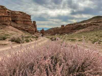 Charyn Canyon Full-Day Trip with Boxed Lunch