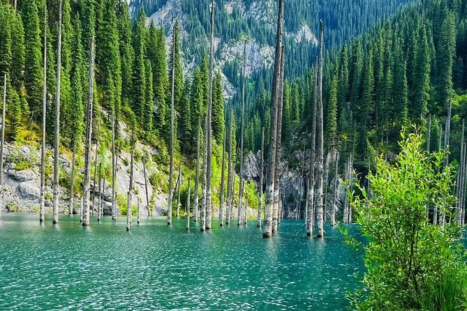 One day Private Tour to Charyn Canyon, Kaindy and Kolsay Lakes - Kaindy Lake and its flooded forest