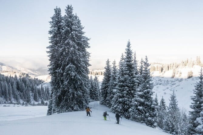 One Day Ski Tour Near Almaty - Safety equipment and the real cost
