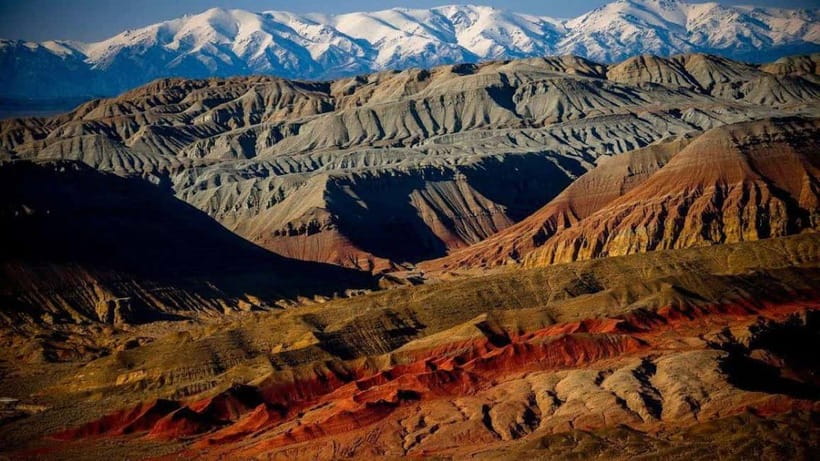 One Day Tour to Altyn-Emel: Singing Dune and Aktau Mountain - The 700-year-old willow tree