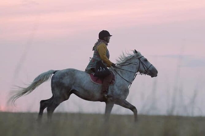Overnight Ranch Stay and Horse Tour to Kabanbay Batyr Mausoleum - Five things to know before you book