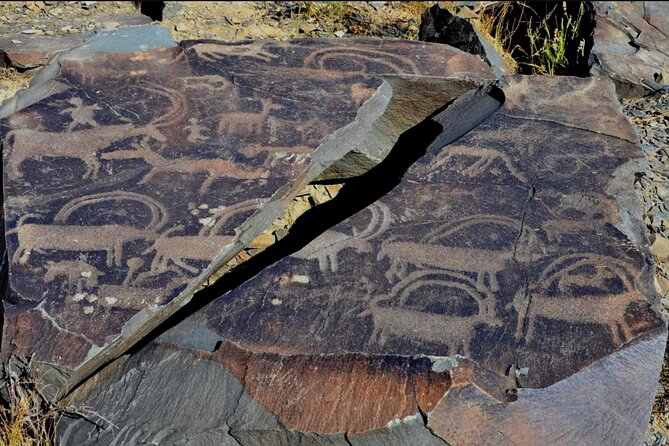Petroglyphs of Tanbaly UNESCO World Heritage Site - Is $162 a fair price?