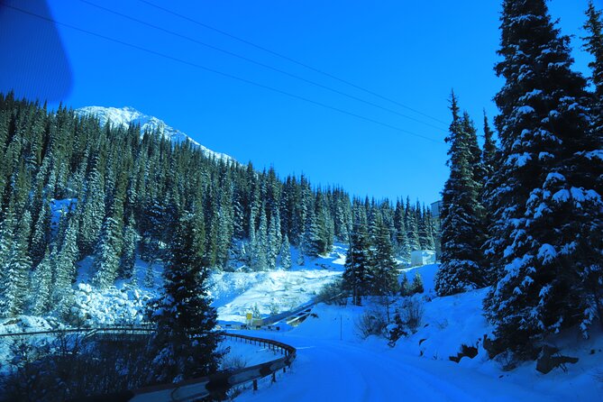 Private Big Almaty Lake Hiking Tour with alternatgive Pipeline - Is $70 a fair price?