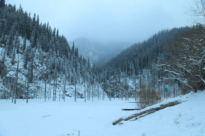 Private Charyn Canyon, Kolsai Lake with Optional Kaindy Lake tour - The road to Kolsai Lake