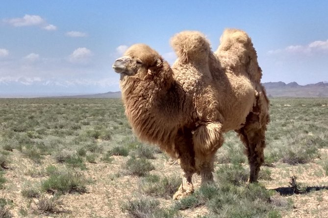 Private Day Tour to the Land of Canyons-UNESCO-of Kazakhstan - The 7:00 a.m. Start From Almaty