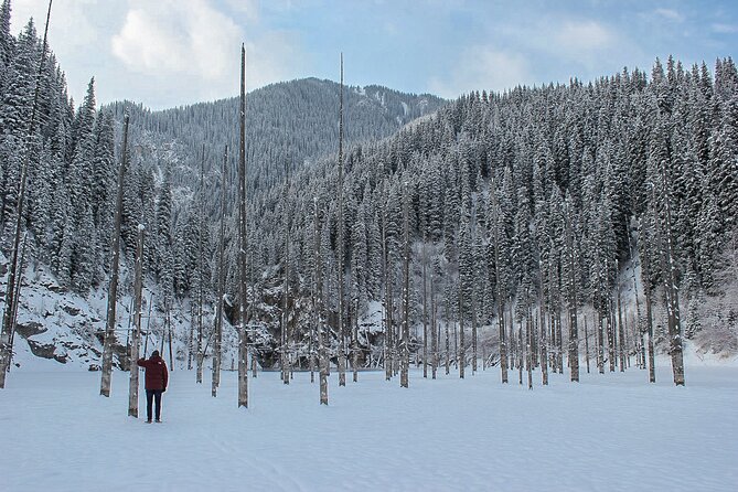 Private DayTour - Pearl Lakes Kolsai & Kaindy (Flooded Forest) via Charyn Canyon - What the private format really gives you