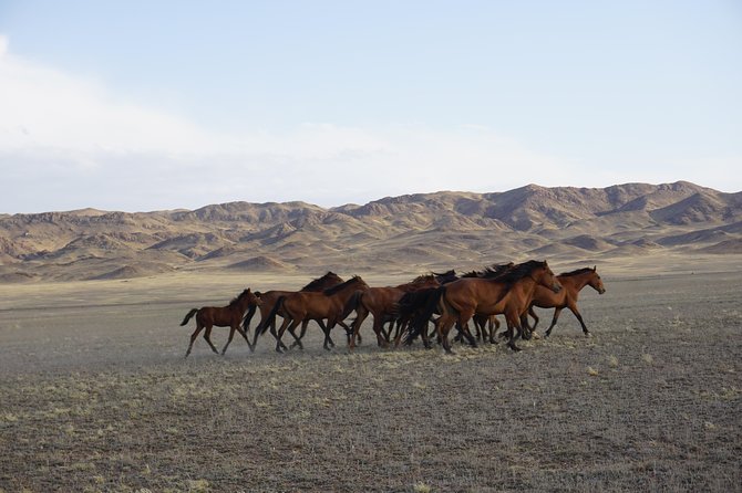 Private tour Almaty Region 3 days with Silktravel - Aktau and Katutau: ancient rock in Altyn-Emel