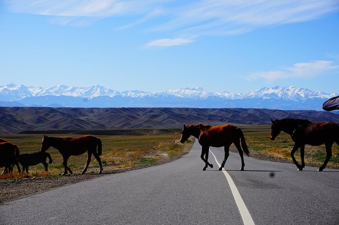 Private tour Almaty Region 3 days with Silktravel - Leaving Almaty beside Kapshagai Reservoir