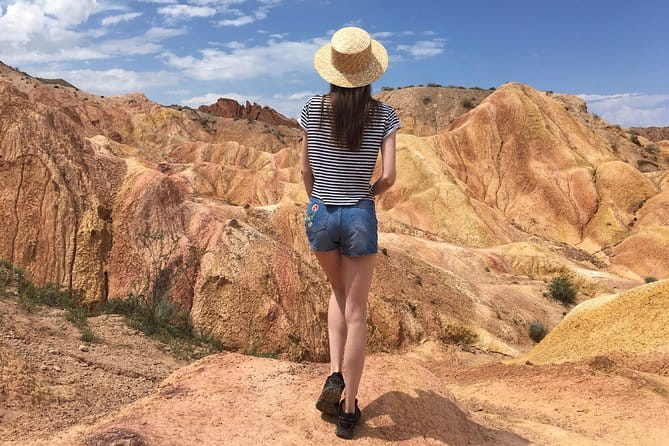 Private tour from Almaty 6 days in Kazakhstan and Kyrgyzstan - Food, hotels, and the private-car advantage