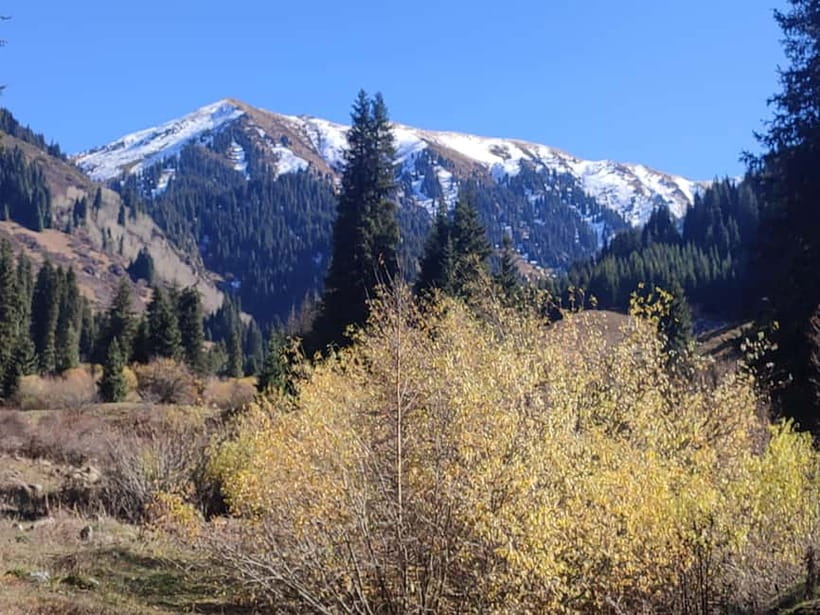 Skyline Hike in Almaty: Bukreev Peak - The 40-minute drive to Butakovsky Gorge
