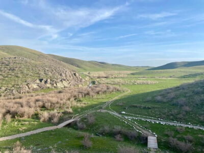Tanbaly Gorge: Ancient Petroglyphs UNESCO Site Day Tour