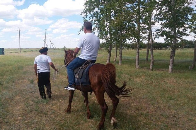 Trip to Kazakh family of Eagle hunters in Astana (6 hours) - Dombra Music And The Sound Of Kazakh Hospitality